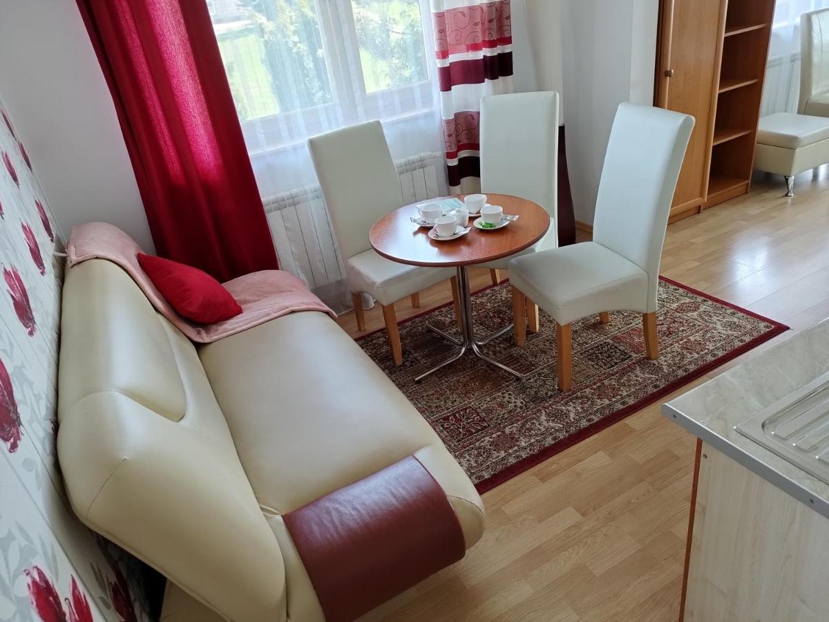 Apartament Tatrzańska Panorama Gliczarów Zewnętrze zdjęcie